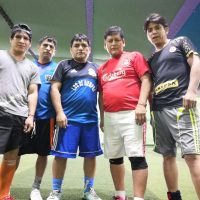 canchas-perú - Cancha Grass Sintetico Chino Mandarin