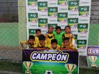 Cancha de Grass Sintético en los Olivos "Mundo Gol": Abel Zela, Las Palmeras, Los Olivos, Lima, Perú - canchas-perú